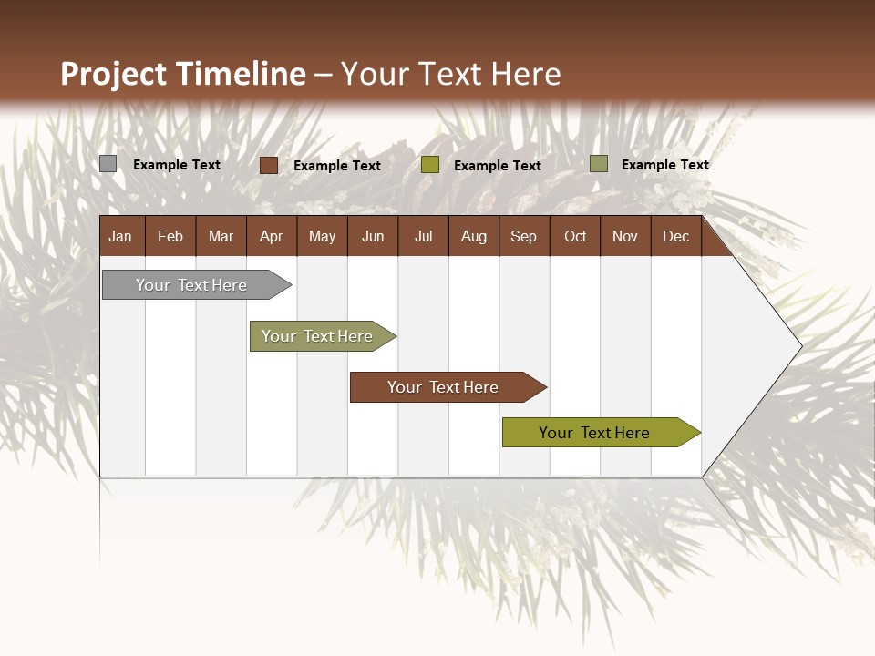 Conifer Pine Fir Branch PowerPoint Template
