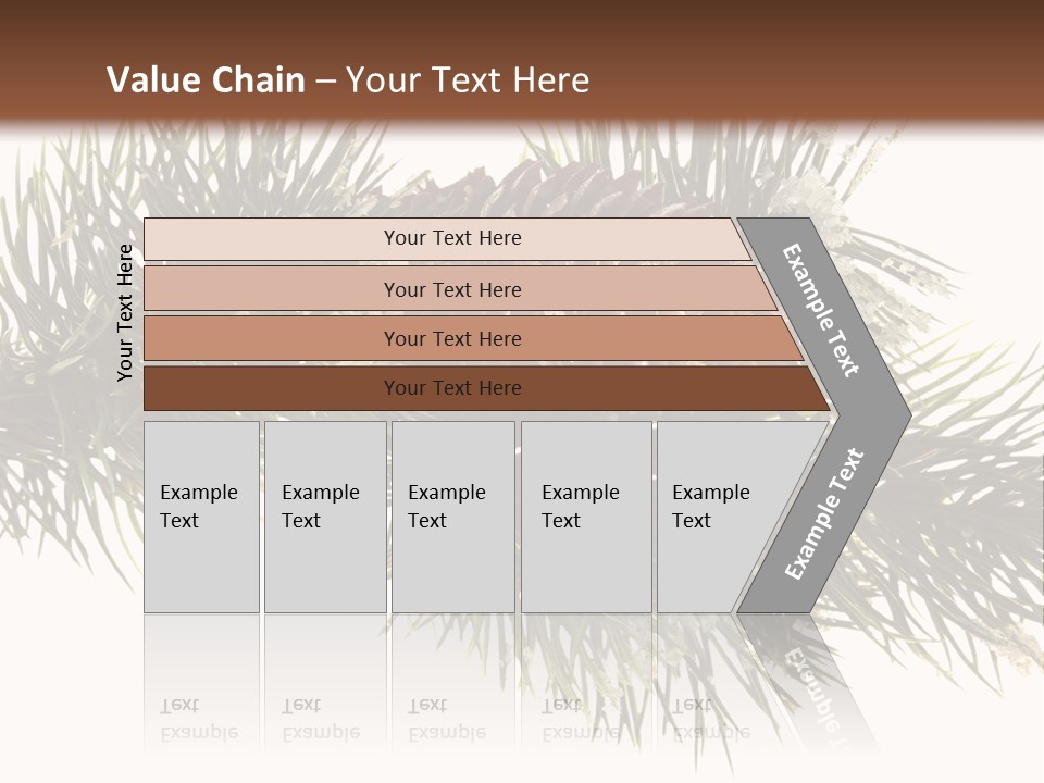 Conifer Pine Fir Branch PowerPoint Template