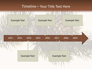 Conifer Pine Fir Branch PowerPoint Template