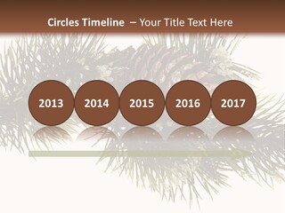 Conifer Pine Fir Branch PowerPoint Template