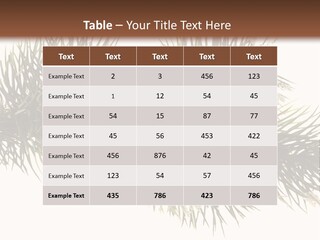 Conifer Pine Fir Branch PowerPoint Template