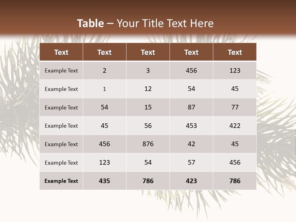 Conifer Pine Fir Branch PowerPoint Template