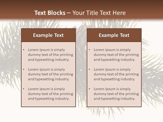 Conifer Pine Fir Branch PowerPoint Template