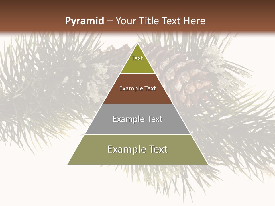 Conifer Pine Fir Branch PowerPoint Template
