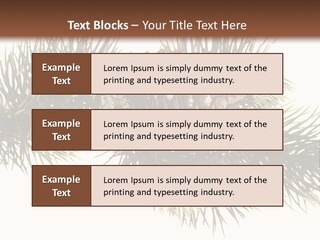Conifer Pine Fir Branch PowerPoint Template