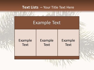 Conifer Pine Fir Branch PowerPoint Template