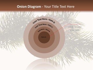Conifer Pine Fir Branch PowerPoint Template