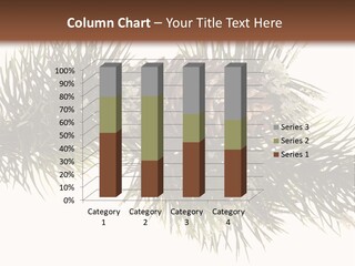 Conifer Pine Fir Branch PowerPoint Template