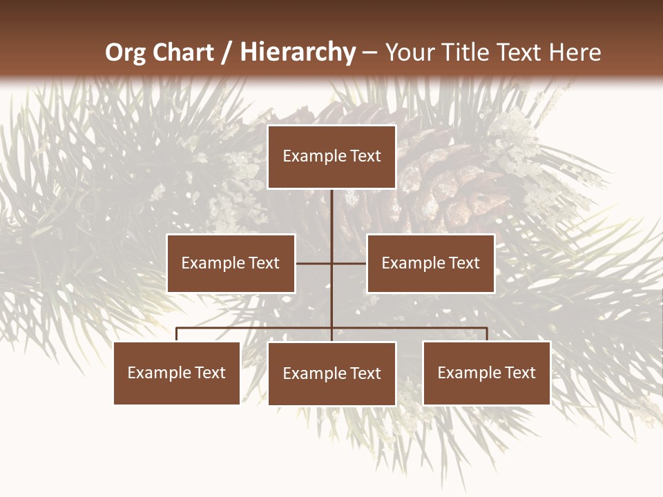 Conifer Pine Fir Branch PowerPoint Template