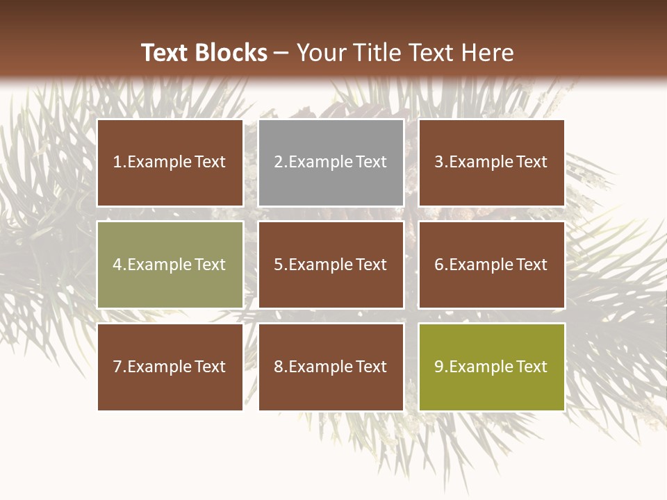 Conifer Pine Fir Branch PowerPoint Template