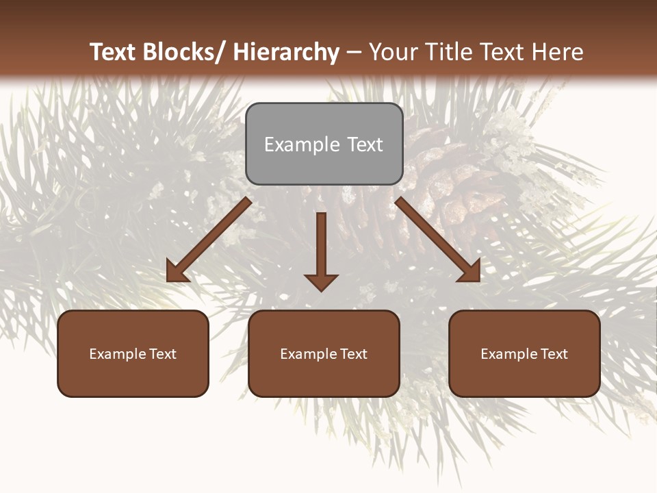 Conifer Pine Fir Branch PowerPoint Template