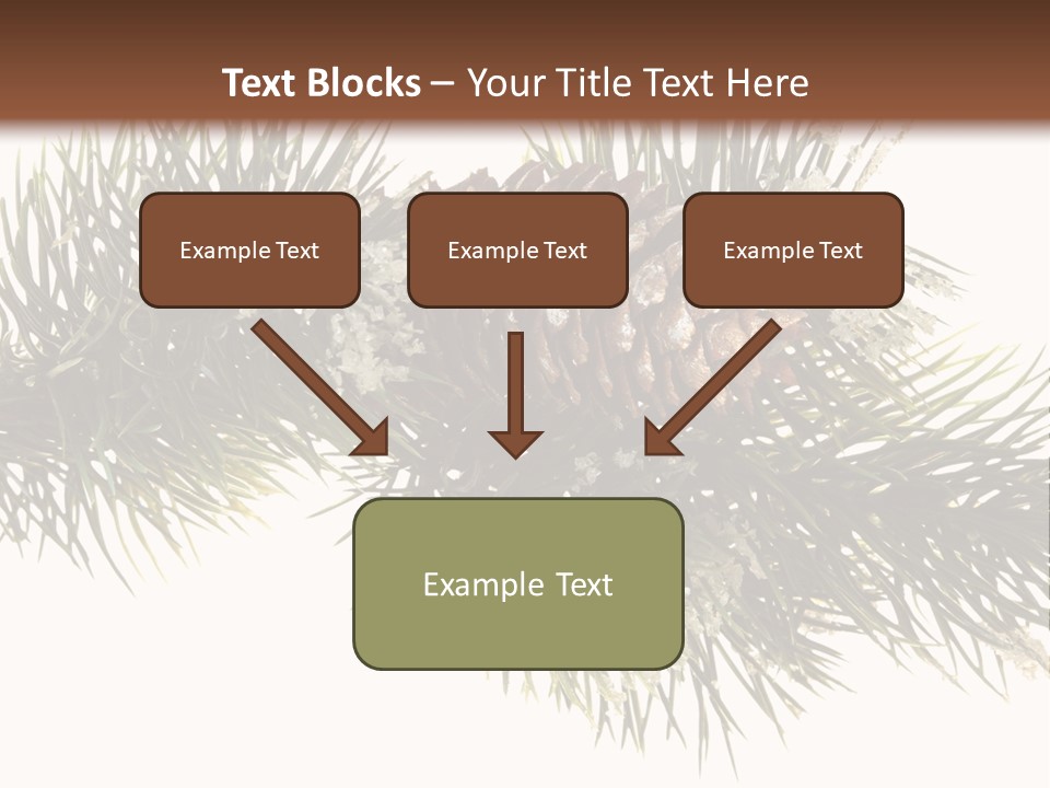 Conifer Pine Fir Branch PowerPoint Template