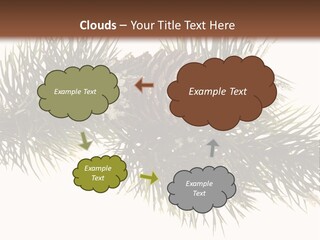 Conifer Pine Fir Branch PowerPoint Template