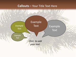 Conifer Pine Fir Branch PowerPoint Template