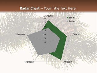Conifer Pine Fir Branch PowerPoint Template