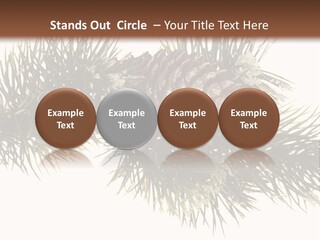 Conifer Pine Fir Branch PowerPoint Template