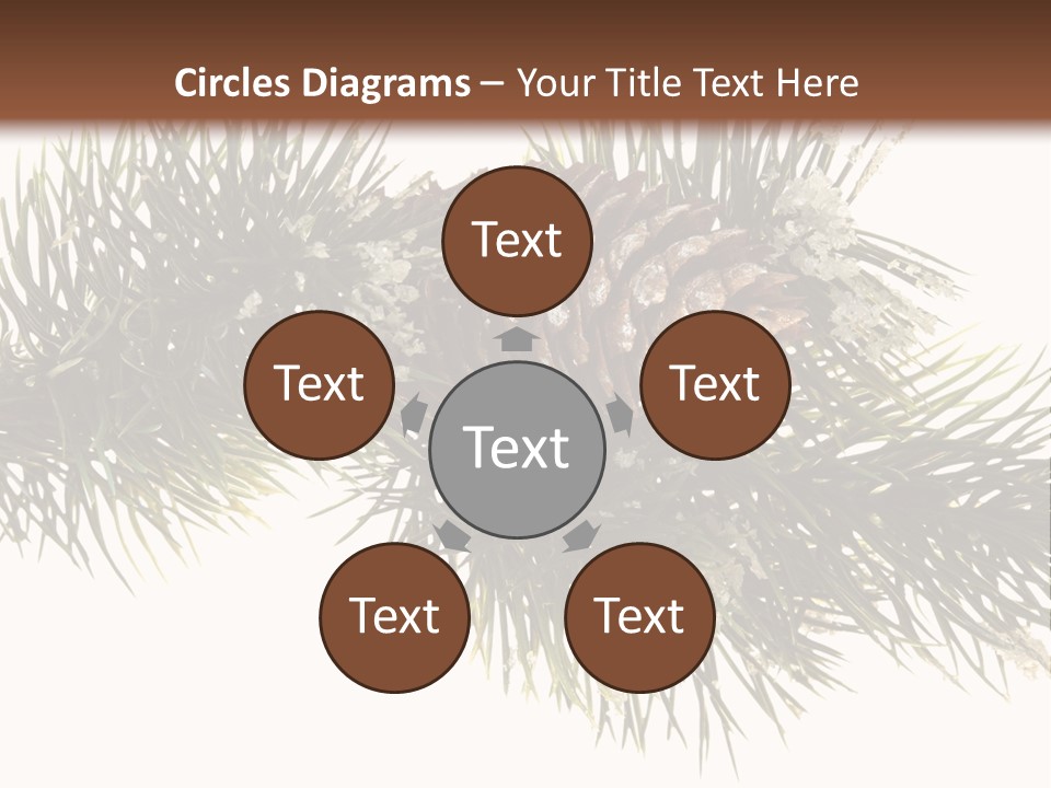 Conifer Pine Fir Branch PowerPoint Template