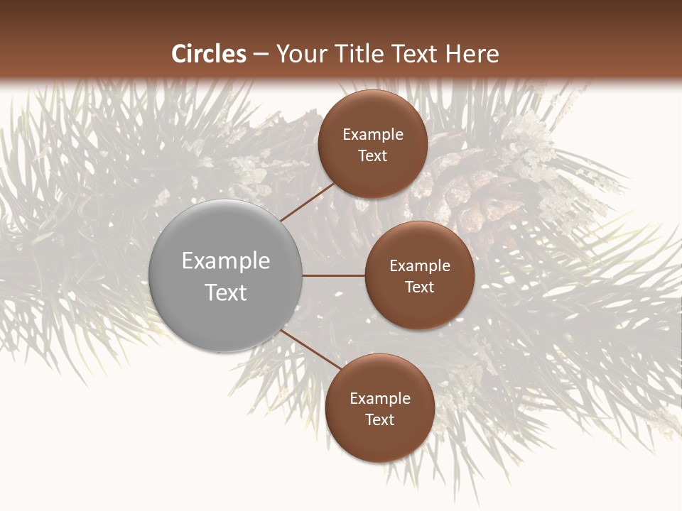Conifer Pine Fir Branch PowerPoint Template