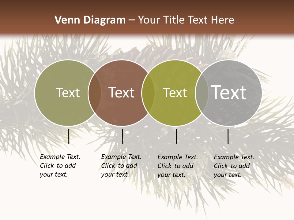 Conifer Pine Fir Branch PowerPoint Template