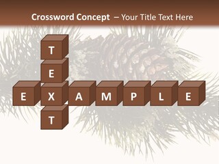 Conifer Pine Fir Branch PowerPoint Template