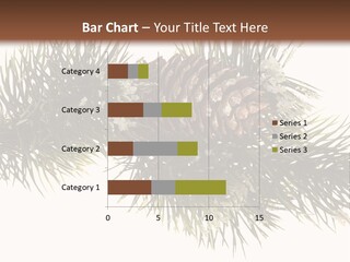 Conifer Pine Fir Branch PowerPoint Template