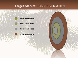 Conifer Pine Fir Branch PowerPoint Template