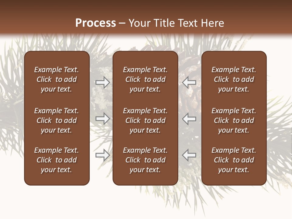 Conifer Pine Fir Branch PowerPoint Template