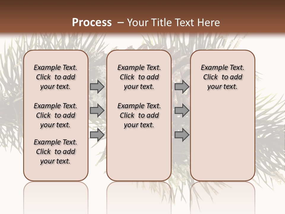 Conifer Pine Fir Branch PowerPoint Template