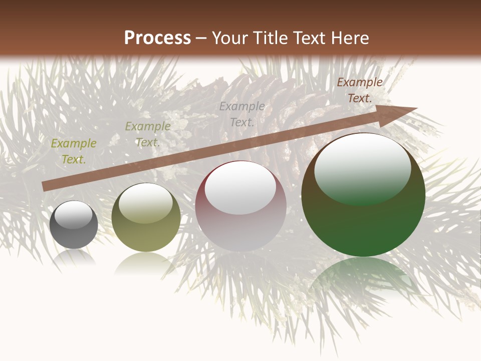 Conifer Pine Fir Branch PowerPoint Template