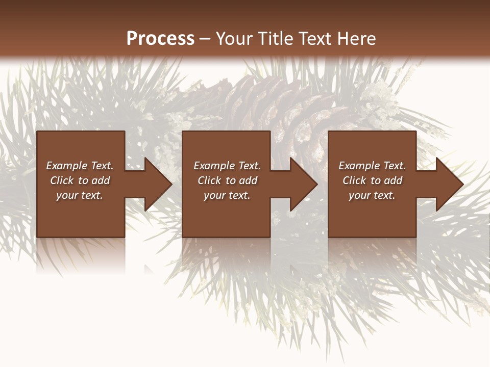 Conifer Pine Fir Branch PowerPoint Template