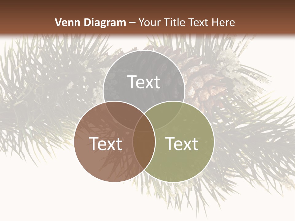 Conifer Pine Fir Branch PowerPoint Template