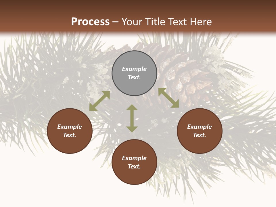 Conifer Pine Fir Branch PowerPoint Template