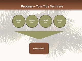 Conifer Pine Fir Branch PowerPoint Template