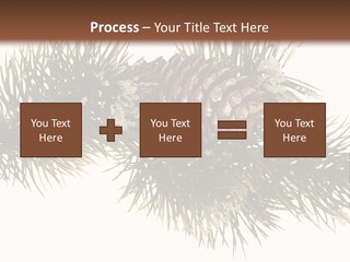 Conifer Pine Fir Branch PowerPoint Template