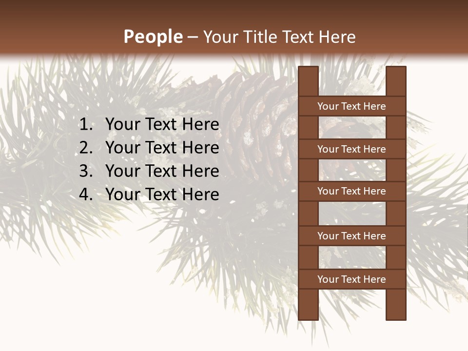 Conifer Pine Fir Branch PowerPoint Template