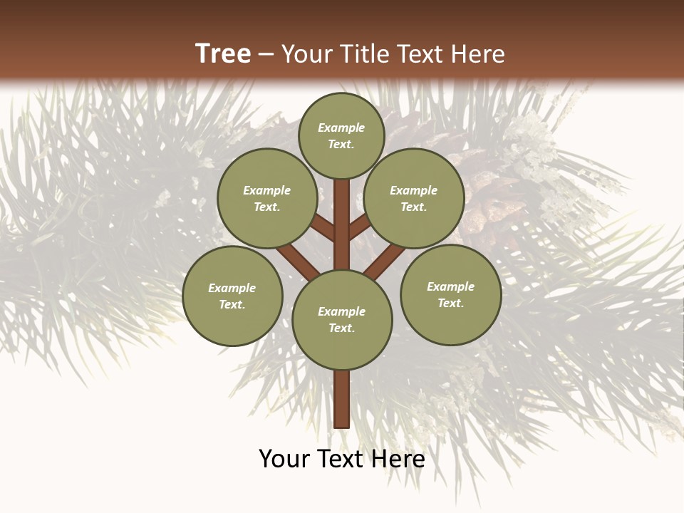 Conifer Pine Fir Branch PowerPoint Template