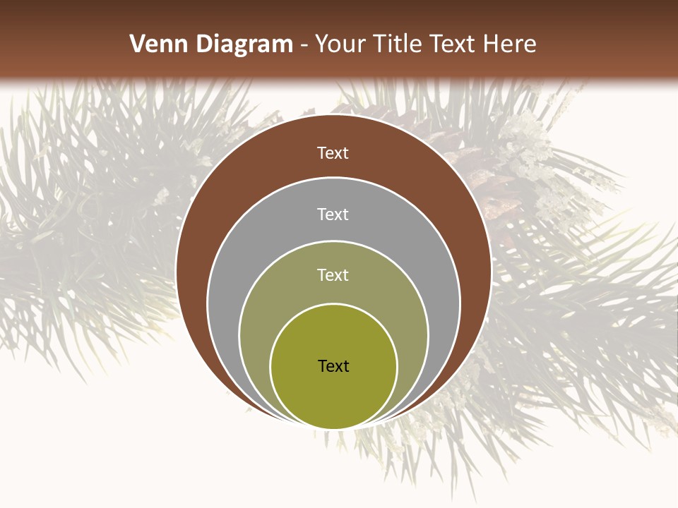 Conifer Pine Fir Branch PowerPoint Template