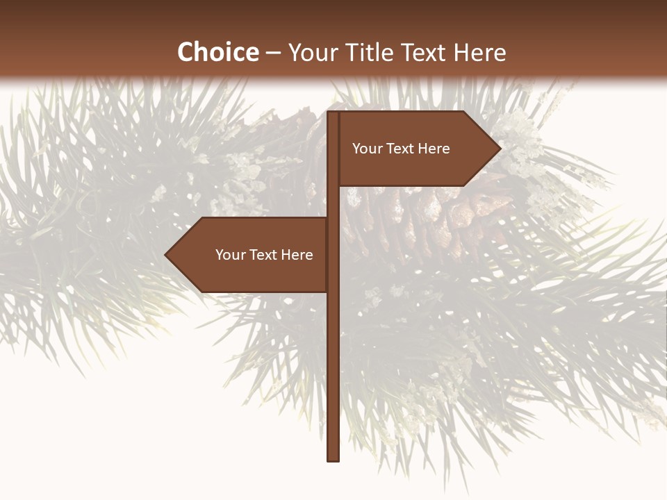 Conifer Pine Fir Branch PowerPoint Template