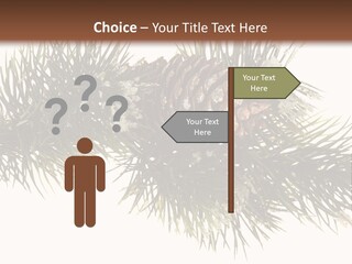 Conifer Pine Fir Branch PowerPoint Template