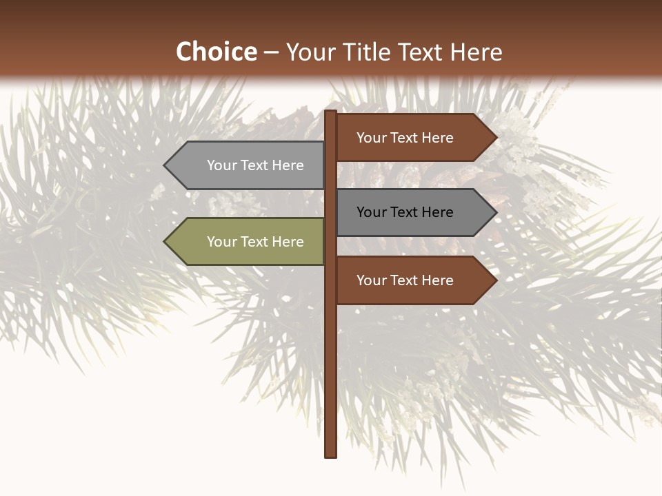 Conifer Pine Fir Branch PowerPoint Template