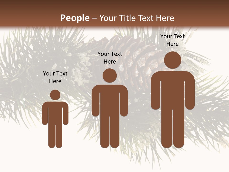 Conifer Pine Fir Branch PowerPoint Template