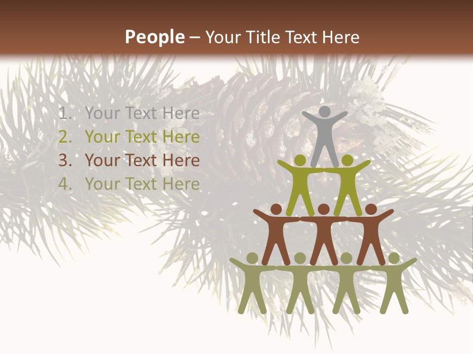 Conifer Pine Fir Branch PowerPoint Template
