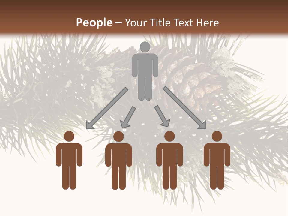 Conifer Pine Fir Branch PowerPoint Template