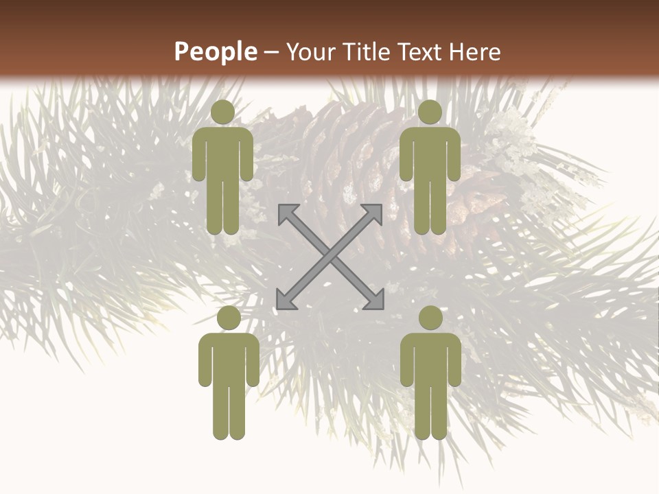 Conifer Pine Fir Branch PowerPoint Template
