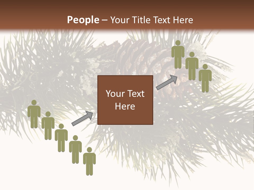 Conifer Pine Fir Branch PowerPoint Template