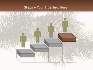 Conifer Pine Fir Branch PowerPoint Template