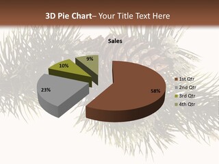 Conifer Pine Fir Branch PowerPoint Template