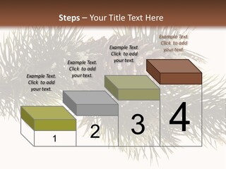 Conifer Pine Fir Branch PowerPoint Template