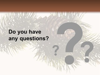 Conifer Pine Fir Branch PowerPoint Template