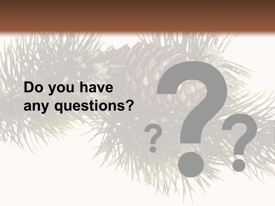 Conifer Pine Fir Branch PowerPoint Template